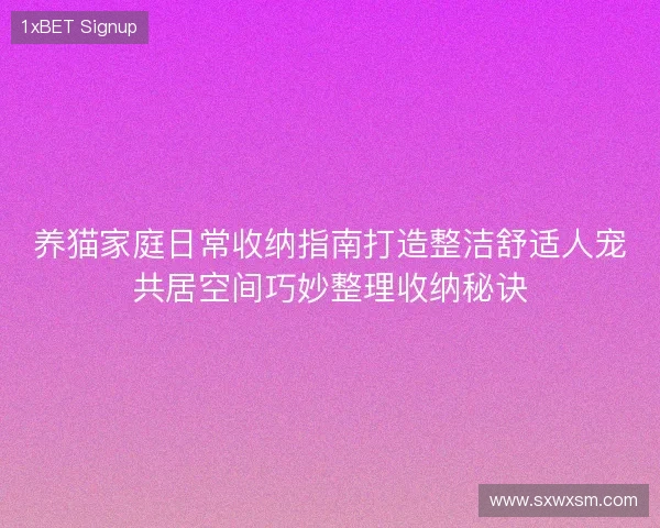 养猫家庭日常收纳指南打造整洁舒适人宠共居空间巧妙整理收纳秘诀